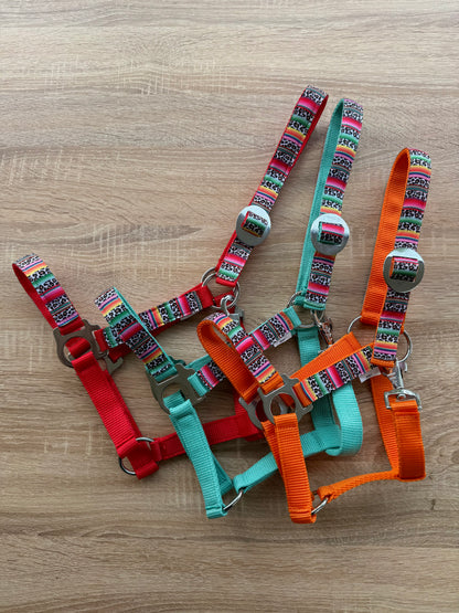 Happy Halsters x FMH - Colourful Panther Exclusive halter various colors