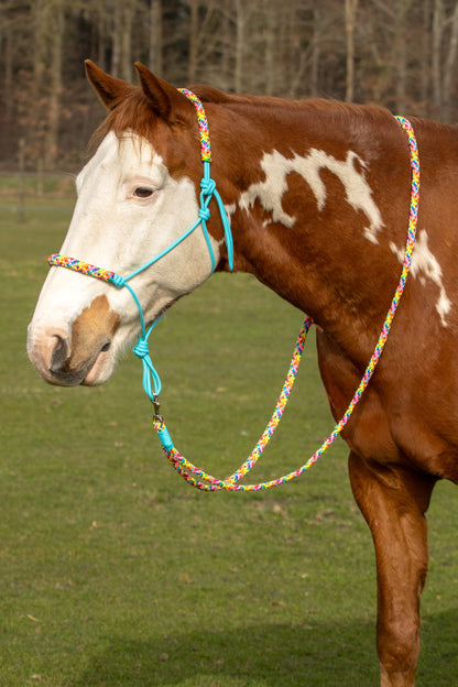 Rope holster set rainbow vibes