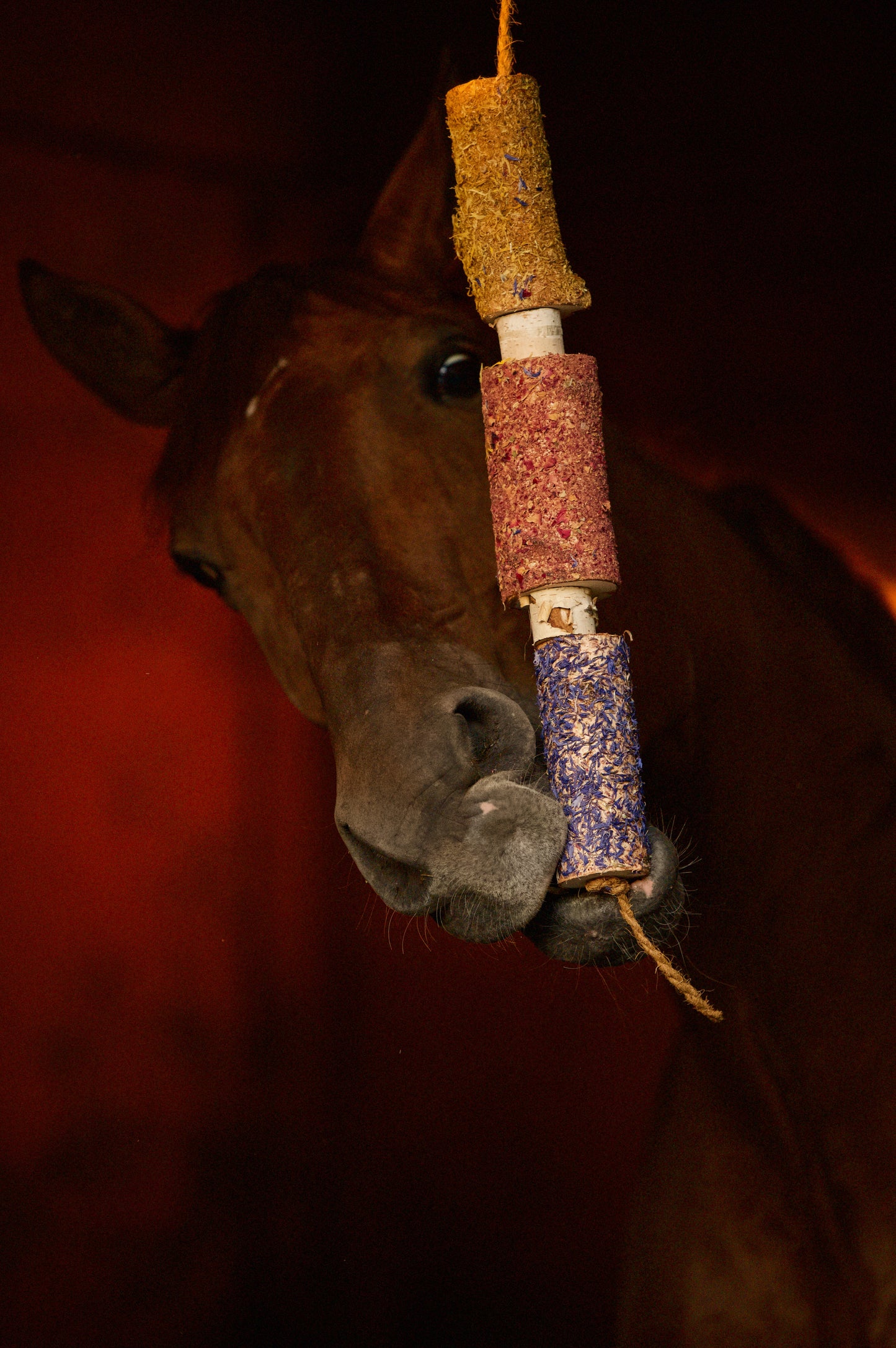 Herbi Horse - Houten speeltouw met kruiden (diverse)