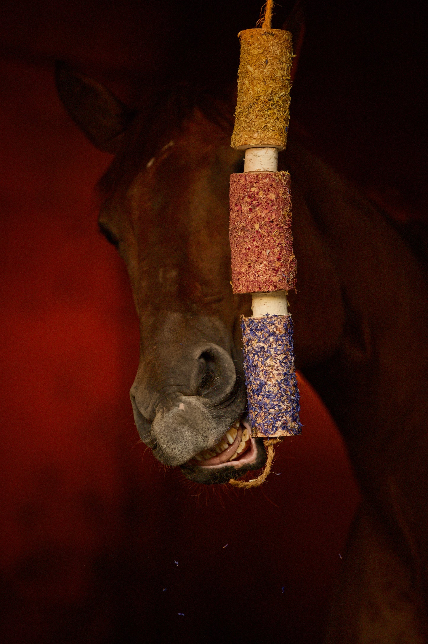 Herbi Horse - Houten speeltouw met kruiden (diverse)