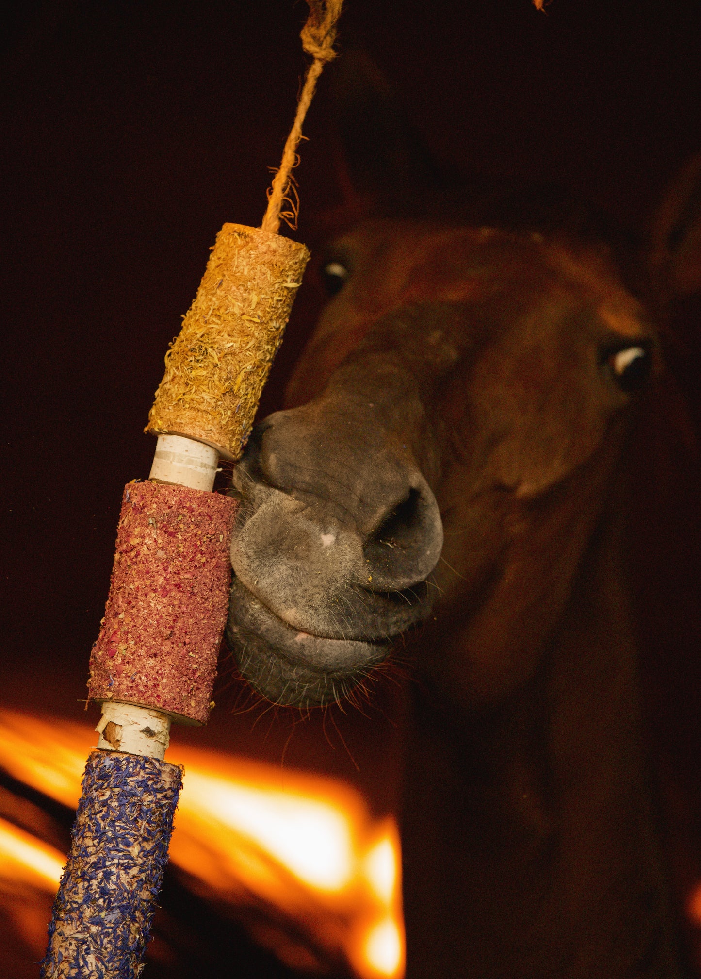 Herbi Horse - Houten speeltouw met kruiden (diverse)