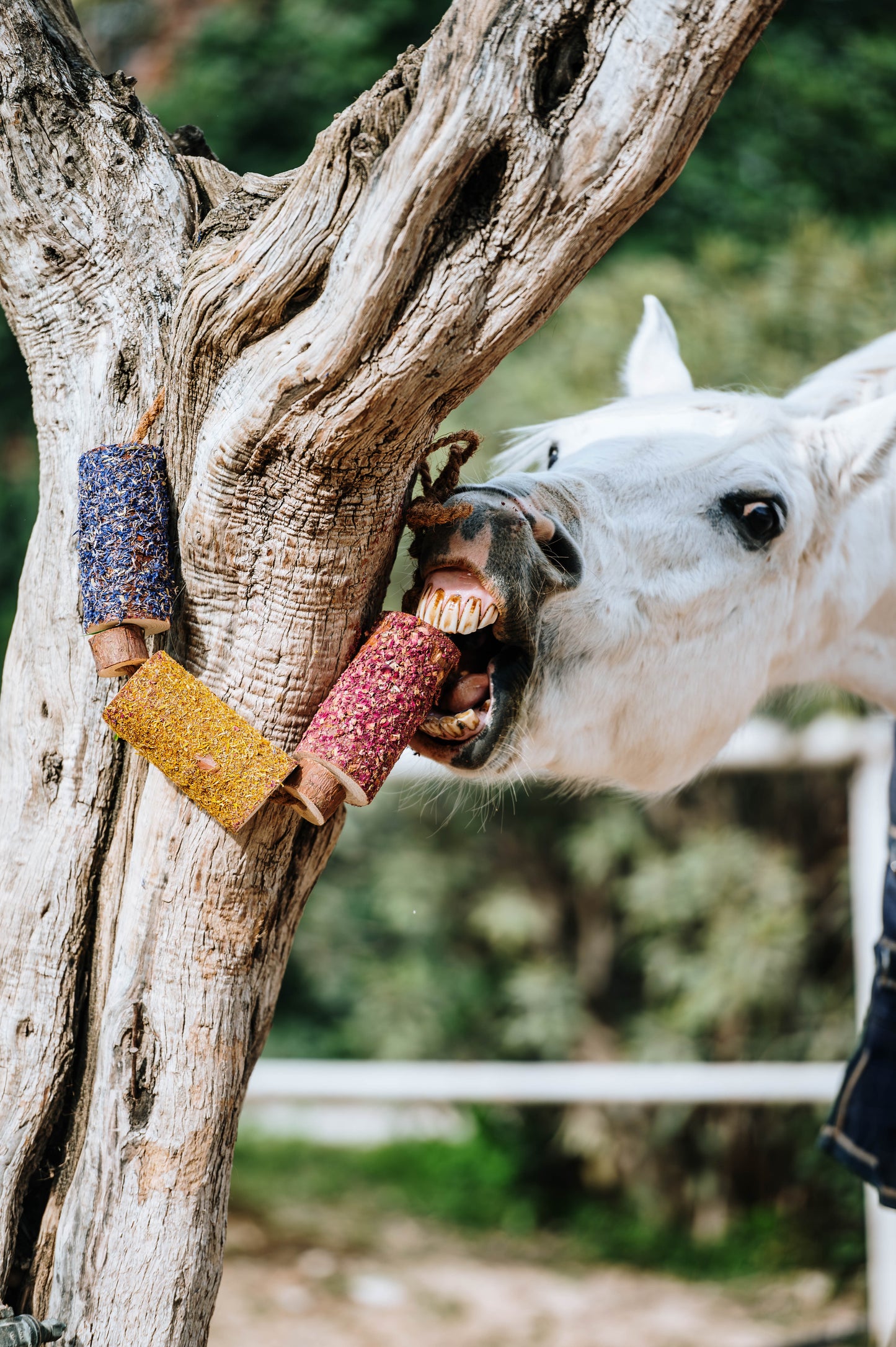 Herbi Horse - Houten speeltouw met kruiden (diverse)