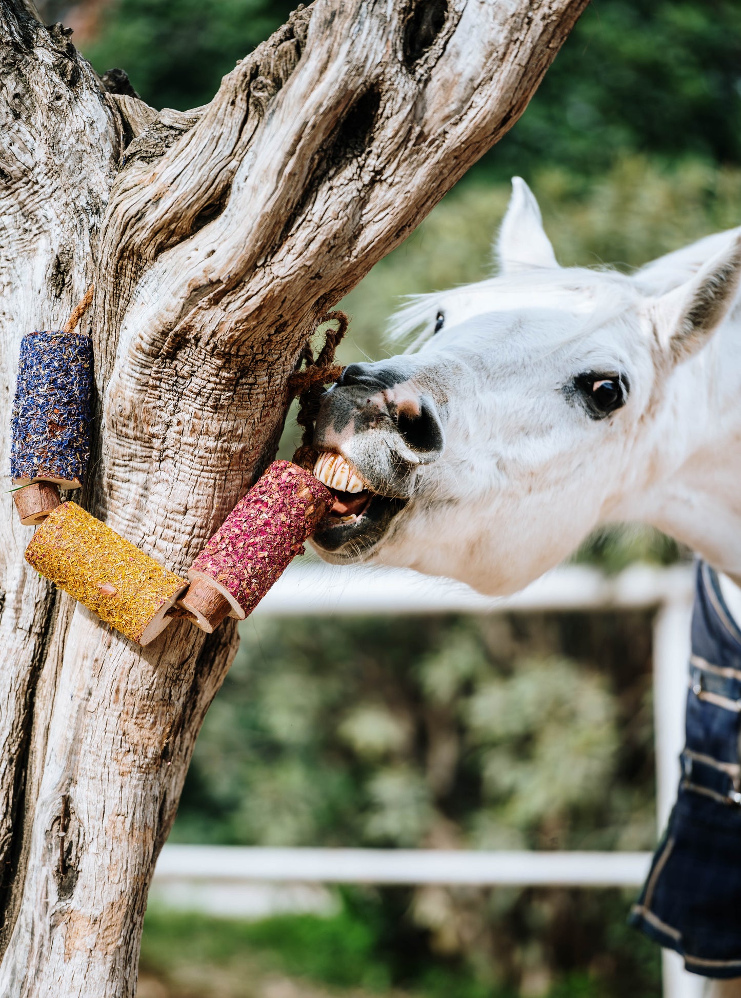 Herbi Horse - Houten speeltouw met kruiden (diverse)