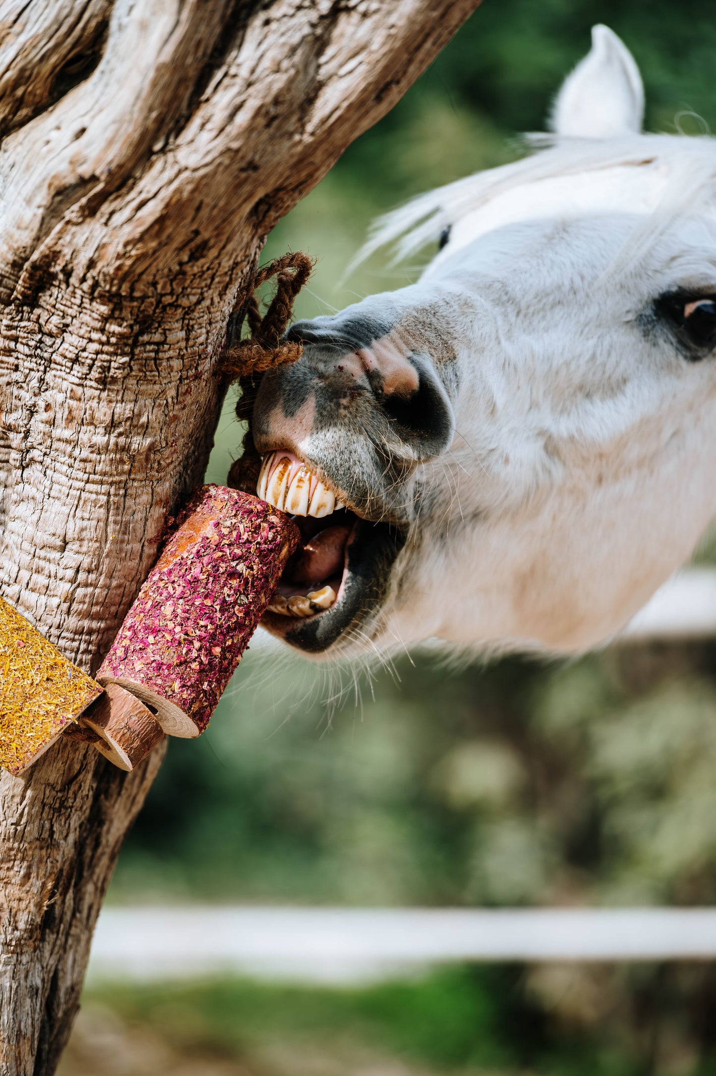 Herbi Horse - Houten speeltouw met kruiden (diverse)