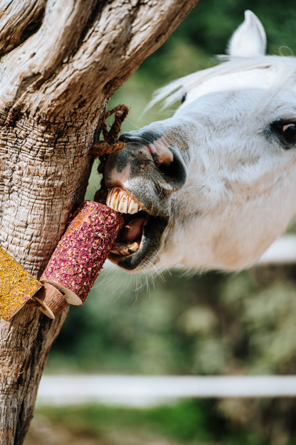 Herbi Horse - Holzspieltau mit Kräutern (verschiedene)