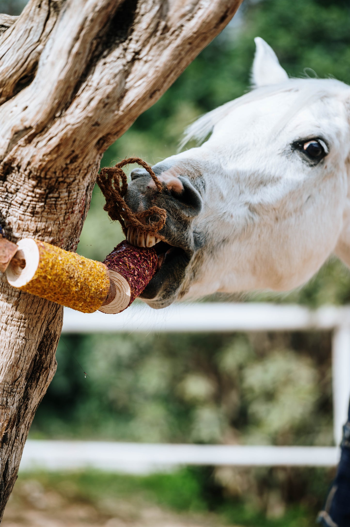 Herbi Horse - Houten speeltouw met kruiden (diverse)