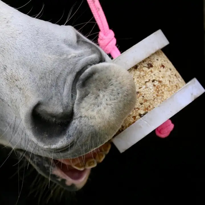 Happy Crackers - Fröhlicher wilder Knabber-/Leckblock