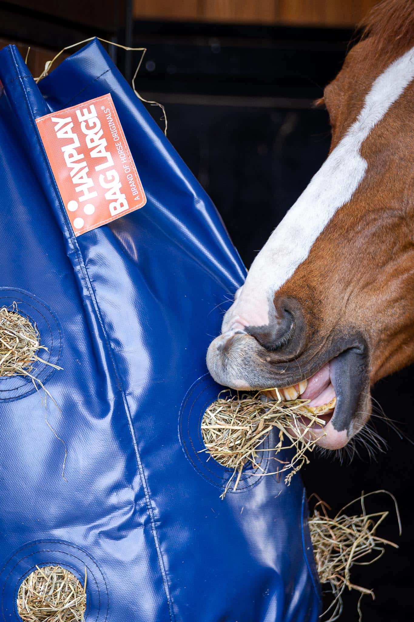 Horse Originals - Heuspieltasche groß