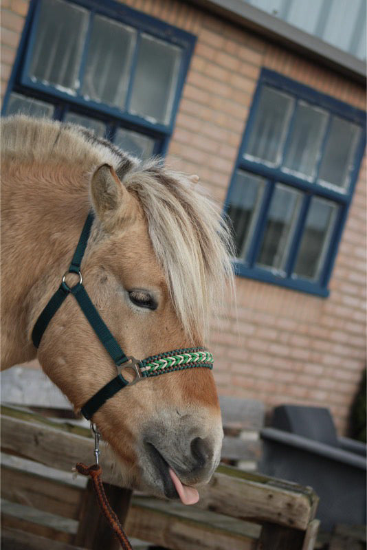 Handgemaakte paardenhalsters - Geknoopt halster ‘Forest Gem’ Groen