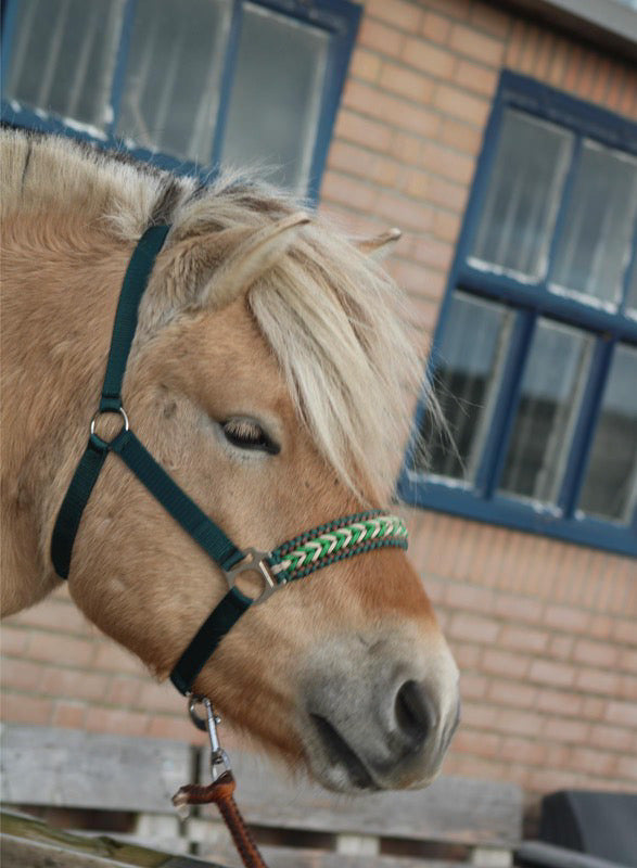 Handgemaakte paardenhalsters - Geknoopt halster ‘Forest Gem’ Groen