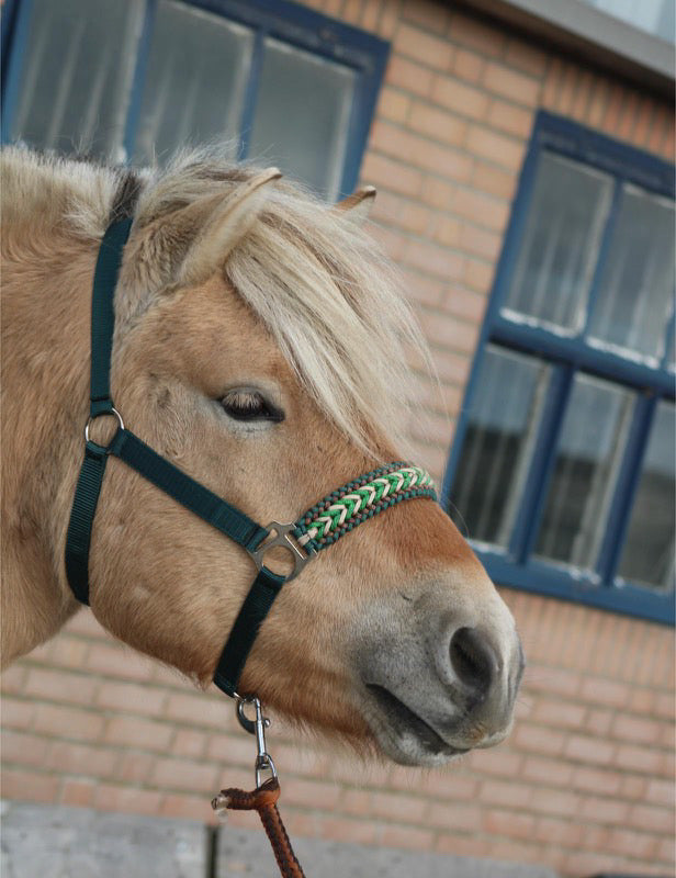 Handgemaakte paardenhalsters - Geknoopt halster ‘Forest Gem’ Groen
