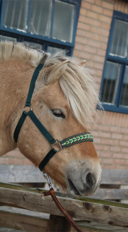 Handgemaakte paardenhalsters - Geknoopt halster ‘Forest Gem’ Groen