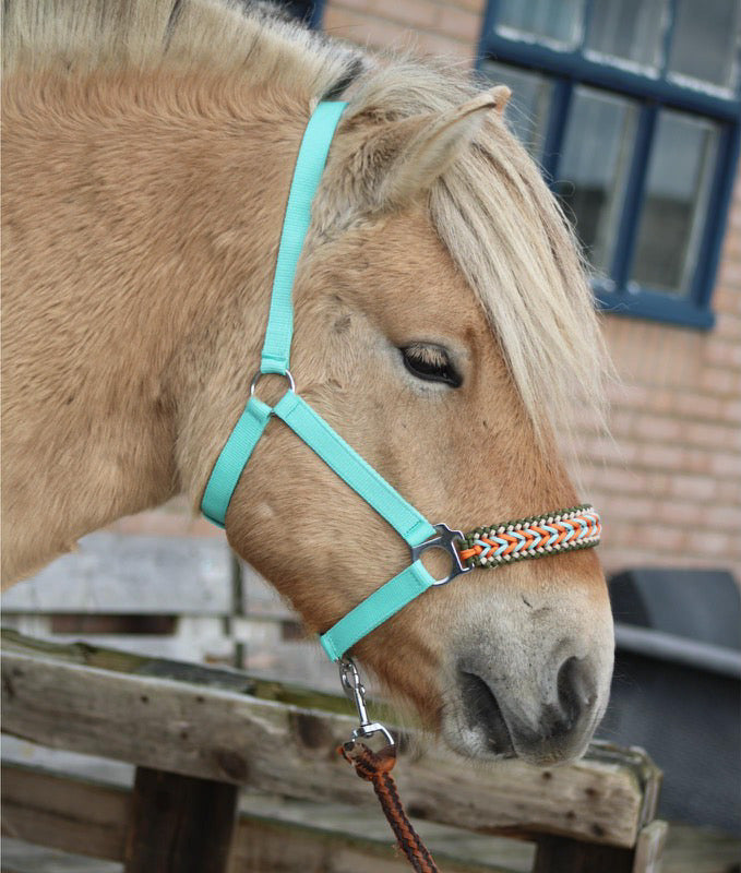 Handgemaakte paardenhalsters - Geknoopt halster ‘Arctic Flame’ Mint/oranje