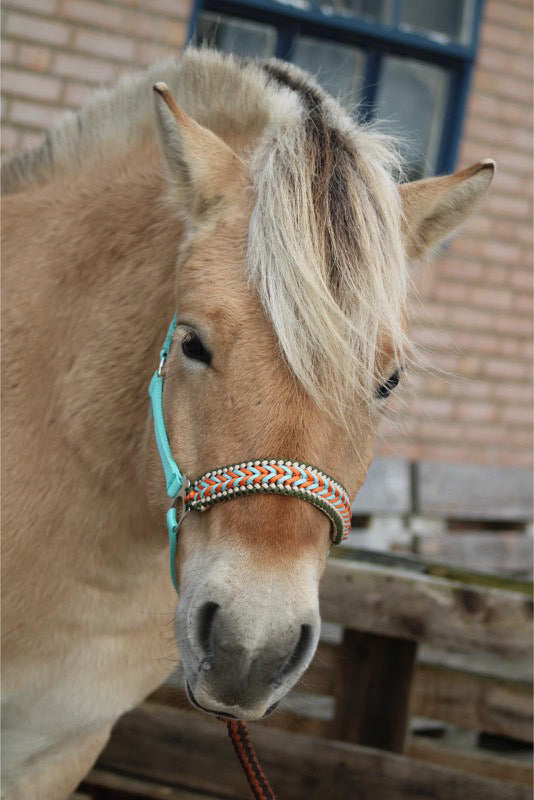 Handgemaakte paardenhalsters - Geknoopt halster ‘Arctic Flame’ Mint/oranje