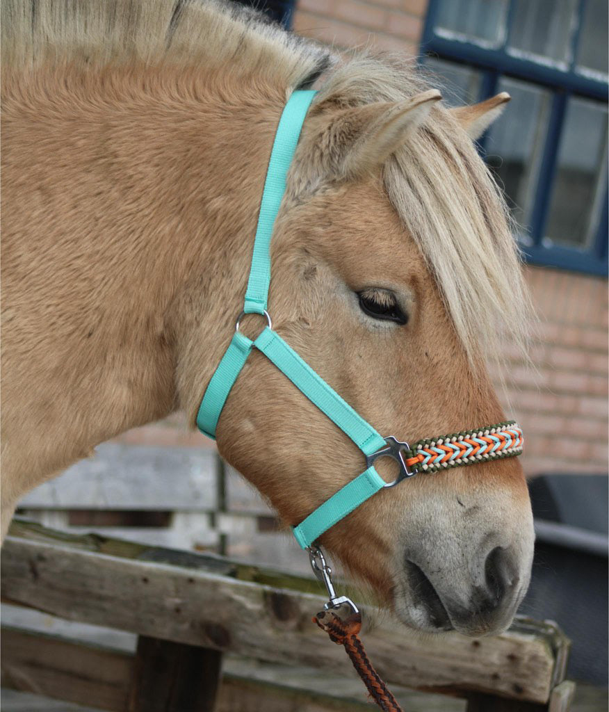Handgemaakte paardenhalsters - Geknoopt halster ‘Arctic Flame’ Mint/oranje