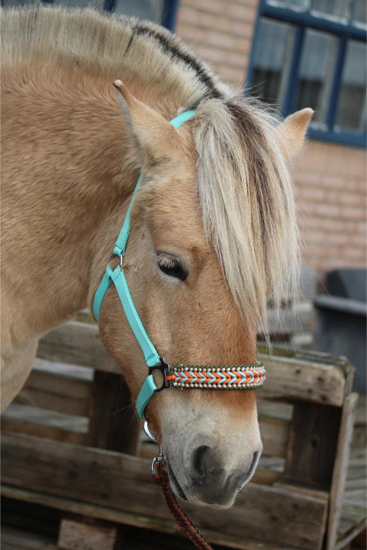 Handgemaakte paardenhalsters - Geknoopt halster ‘Arctic Flame’ Mint/oranje