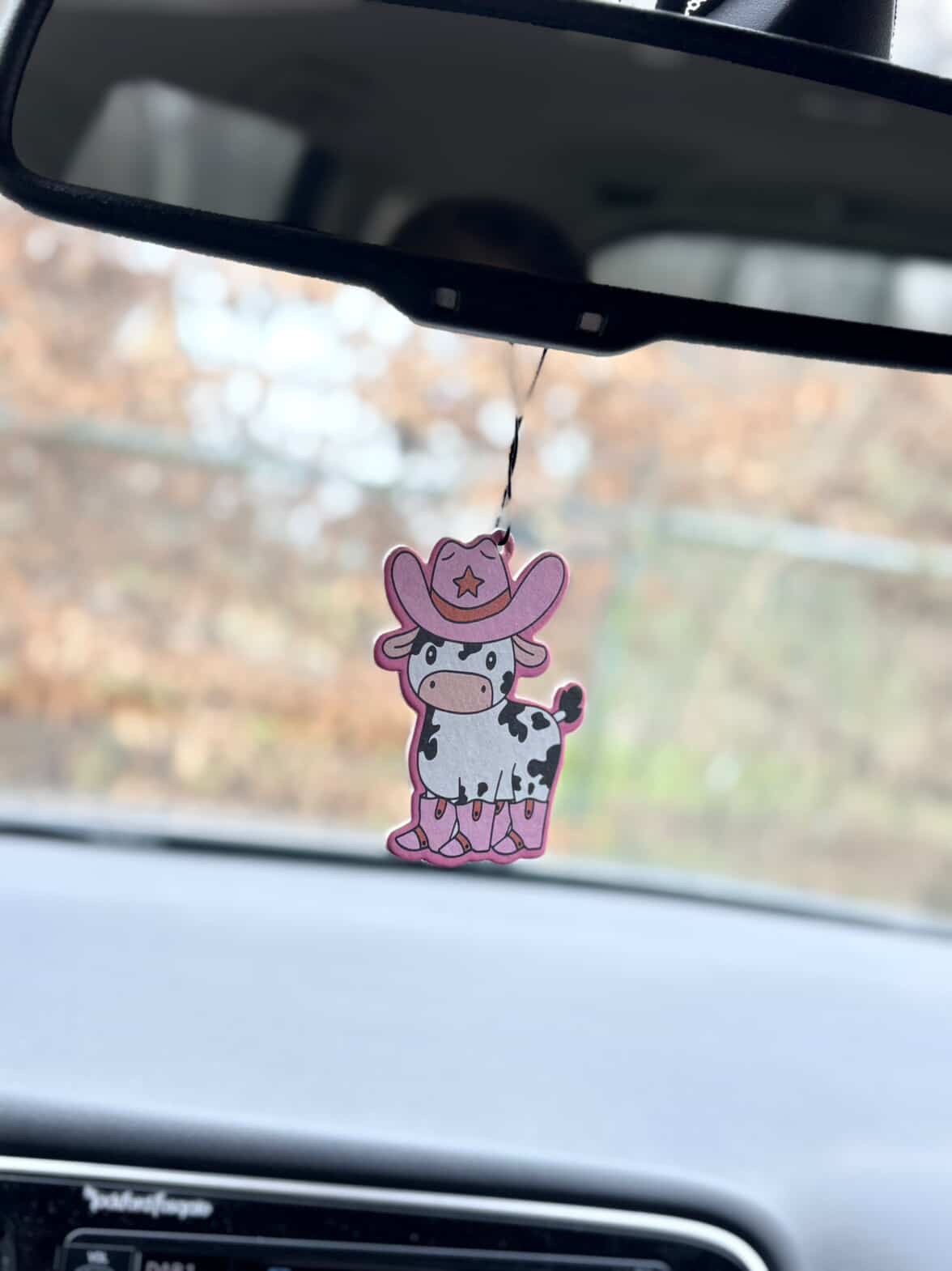 FMH - Autodufthänger Lufterfrischer verschiedene Ausführungen Cowgirl