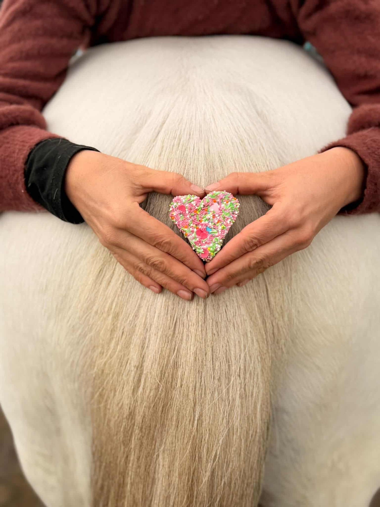 Konska Cukierenka - Biscotti di lusso per cavalli Sweethearts 3x (Erbe/Dolce)