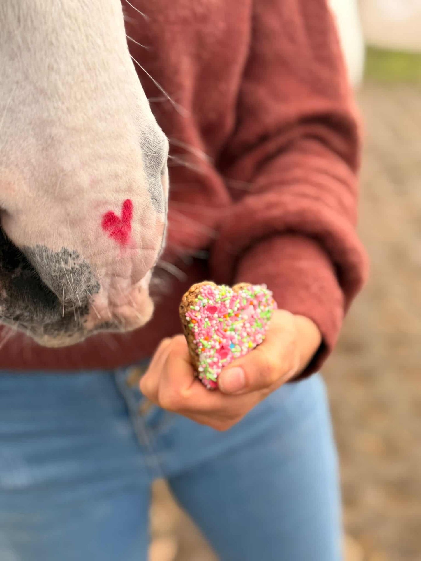 Konska Cukierenka - Biscotti di lusso per cavalli Sweethearts 3x (Erbe/Dolce)