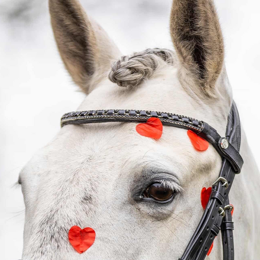 Lumiere - Onyx Crystal browband black