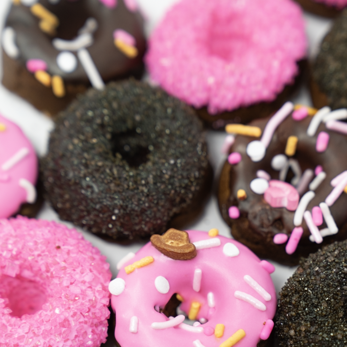 The Posh Pony – Mini-Donuts für Pferde (verschiedene Sorten)