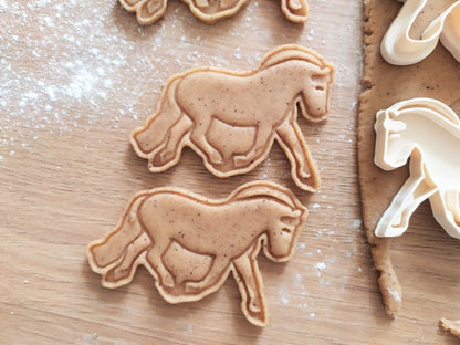 TwoBearsCC - Koekjes uitsteker Fjord