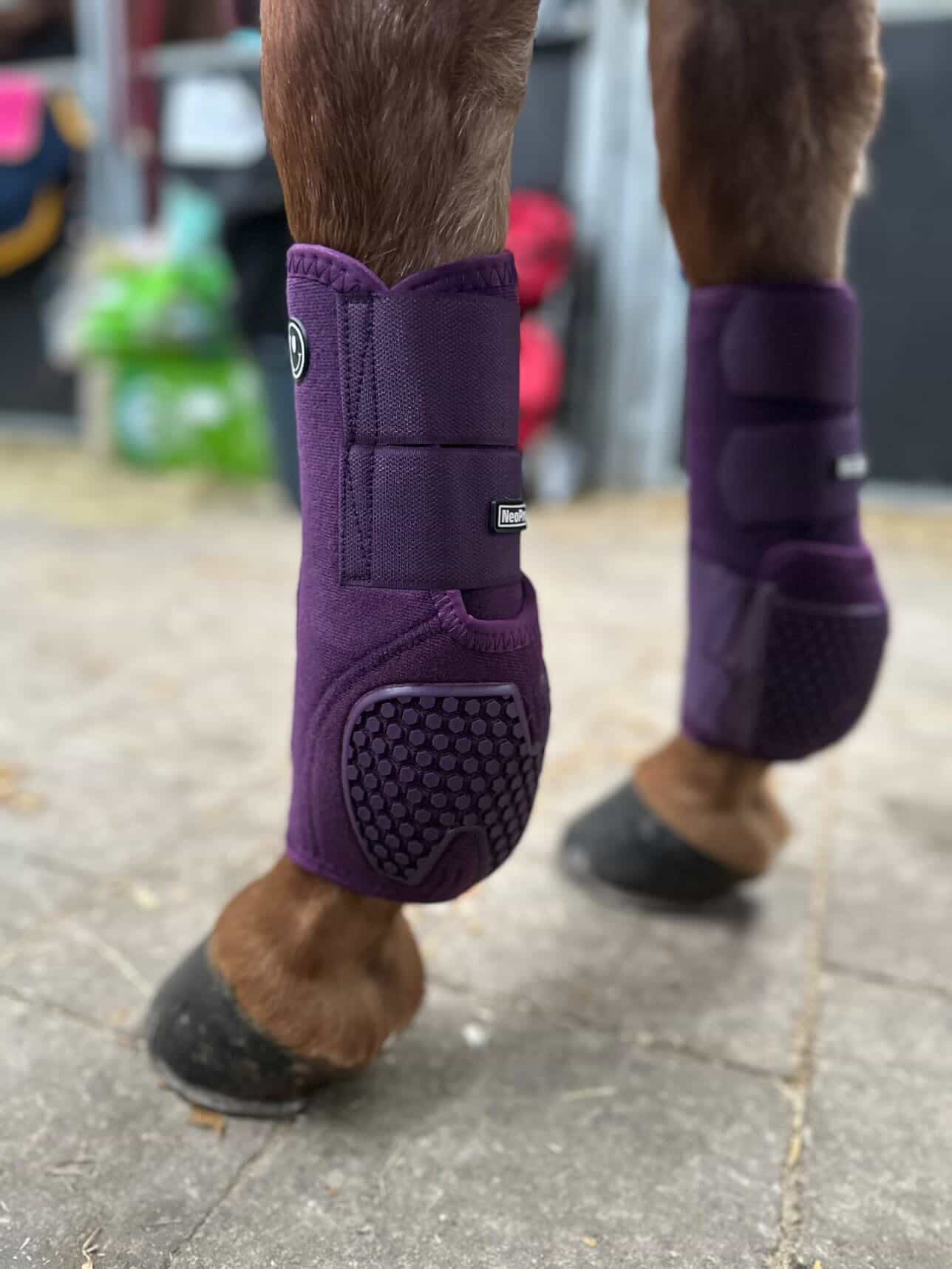 FMH - NeoPro the Solids - Protectores de neopreno para patas de caballo (varios colores)