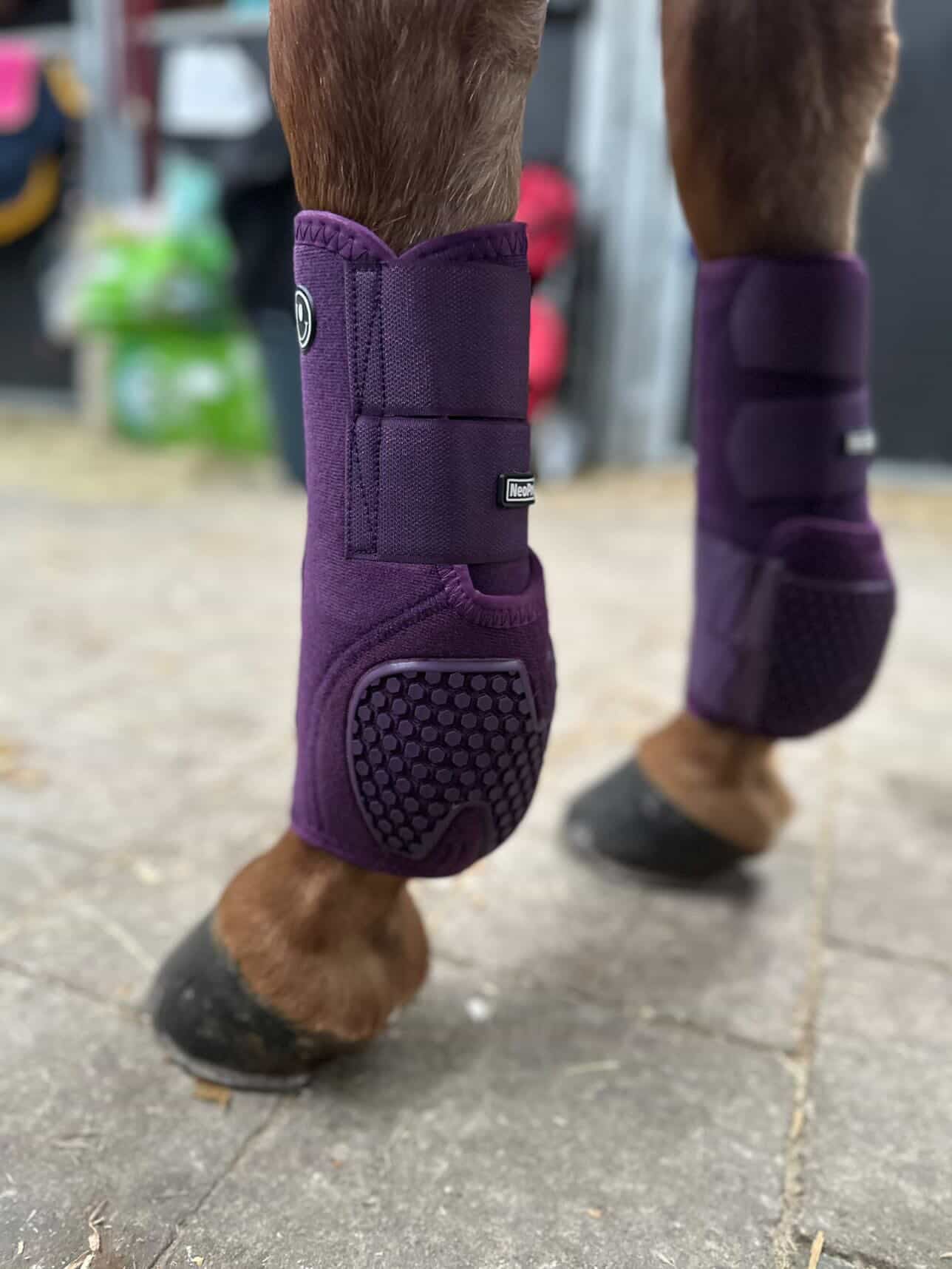 FMH - NeoPro the Solids - Protectores de neopreno para patas de caballo (varios colores)