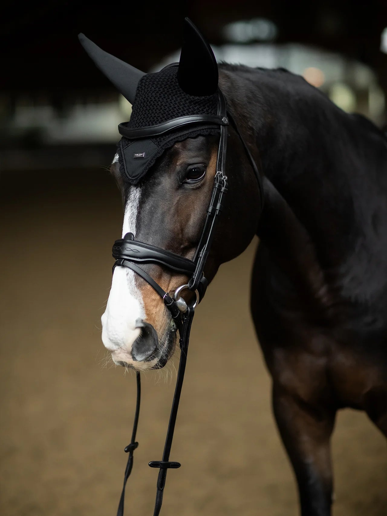 Equestrian Stockholm - Core Collection - Copriorecchie imbottito nero argento
