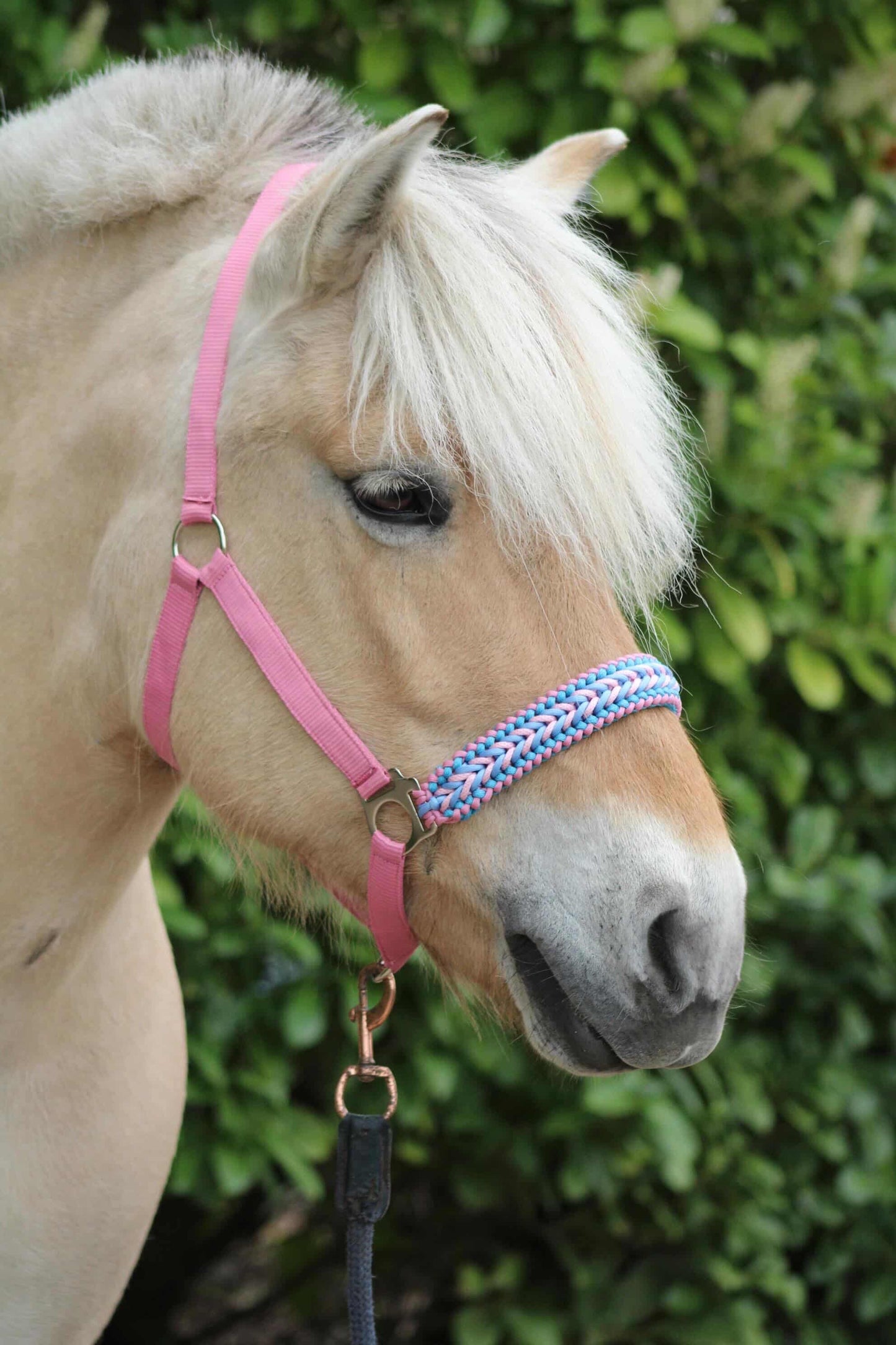 Handmade Horse Halters - Knotted halter 'Cotton Candy' light pink/light blue