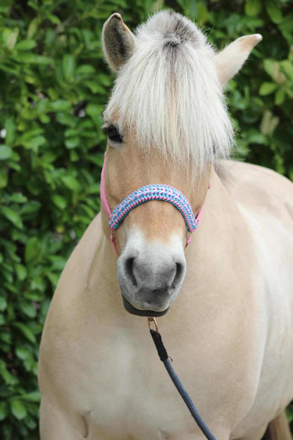 Halsters per cavalli fatti a mano - Capestro annodato ‘Cotton Candy’ rosa chiaro/azzurro chiaro