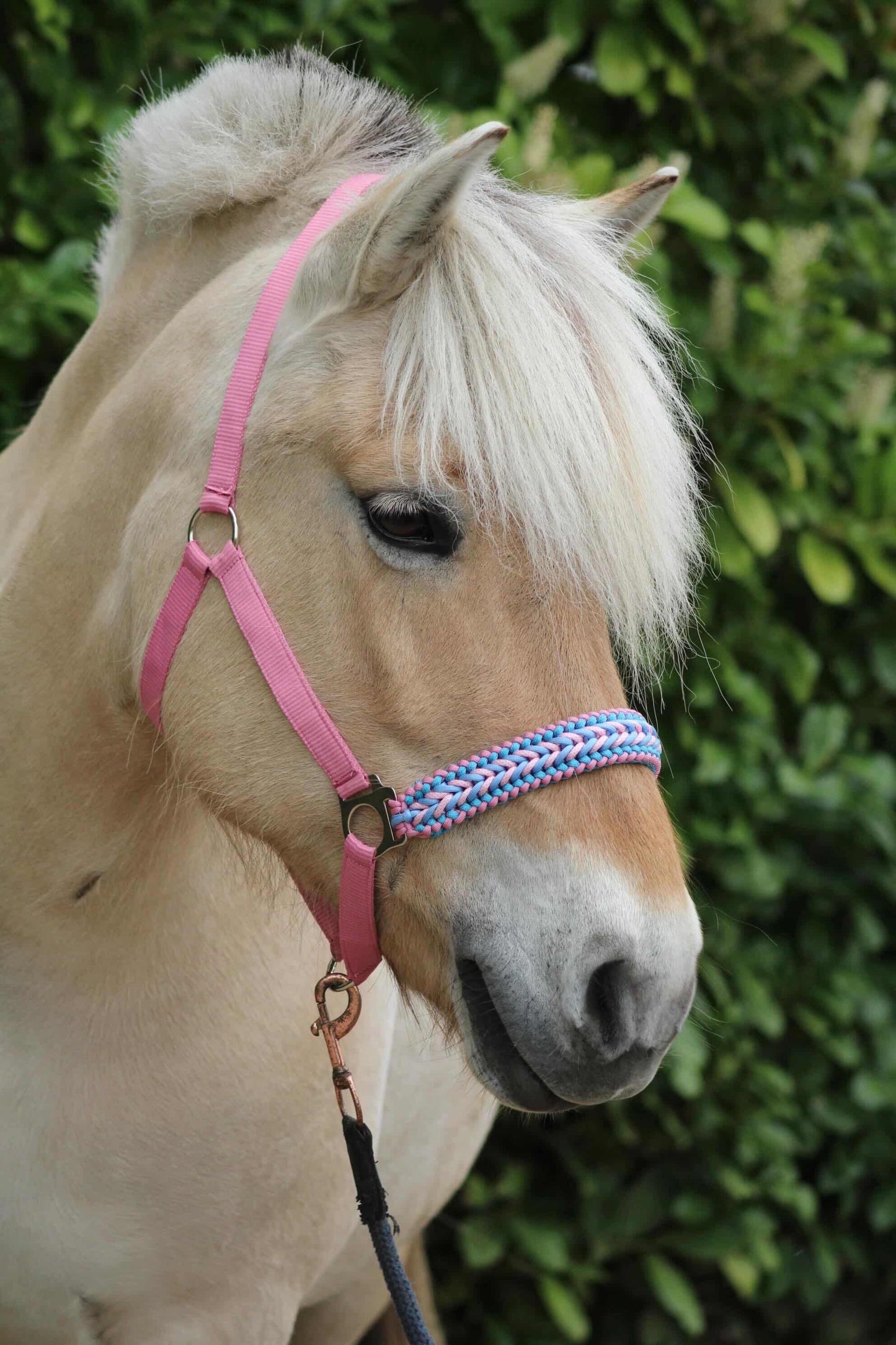 Handmade Horse Halters - Knotted halter 'Cotton Candy' light pink/light blue