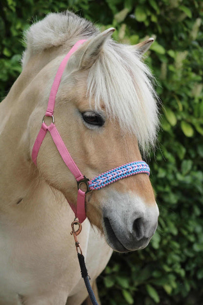 Halsters per cavalli fatti a mano - Capestro annodato ‘Cotton Candy’ rosa chiaro/azzurro chiaro