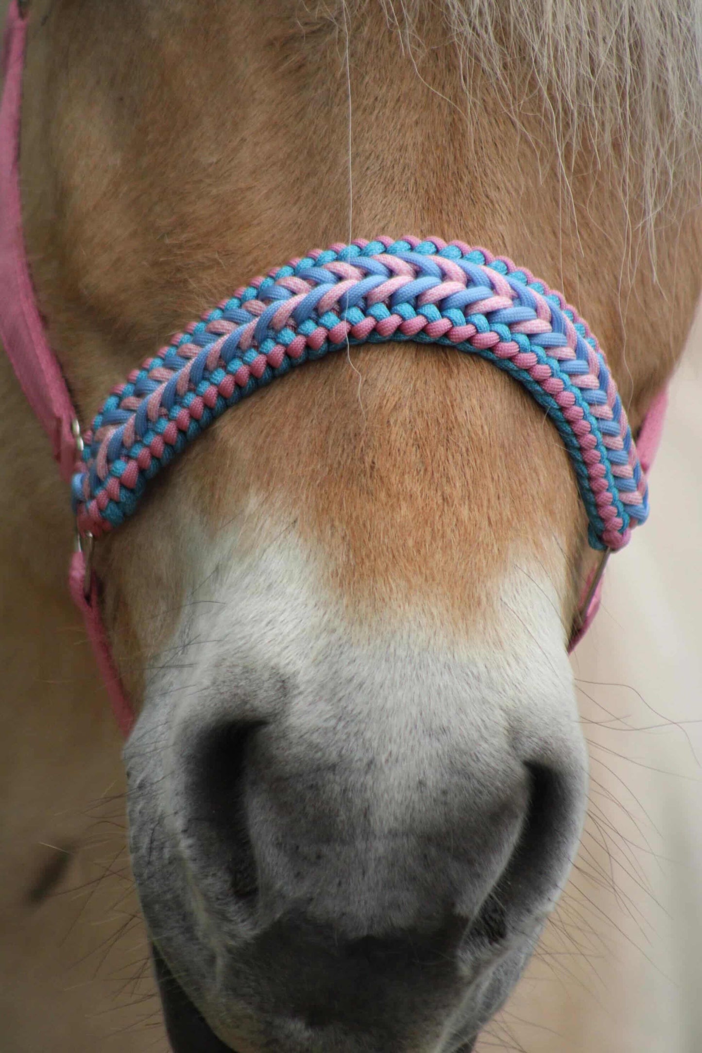 Handmade Horse Halters - Knotted halter 'Cotton Candy' light pink/light blue