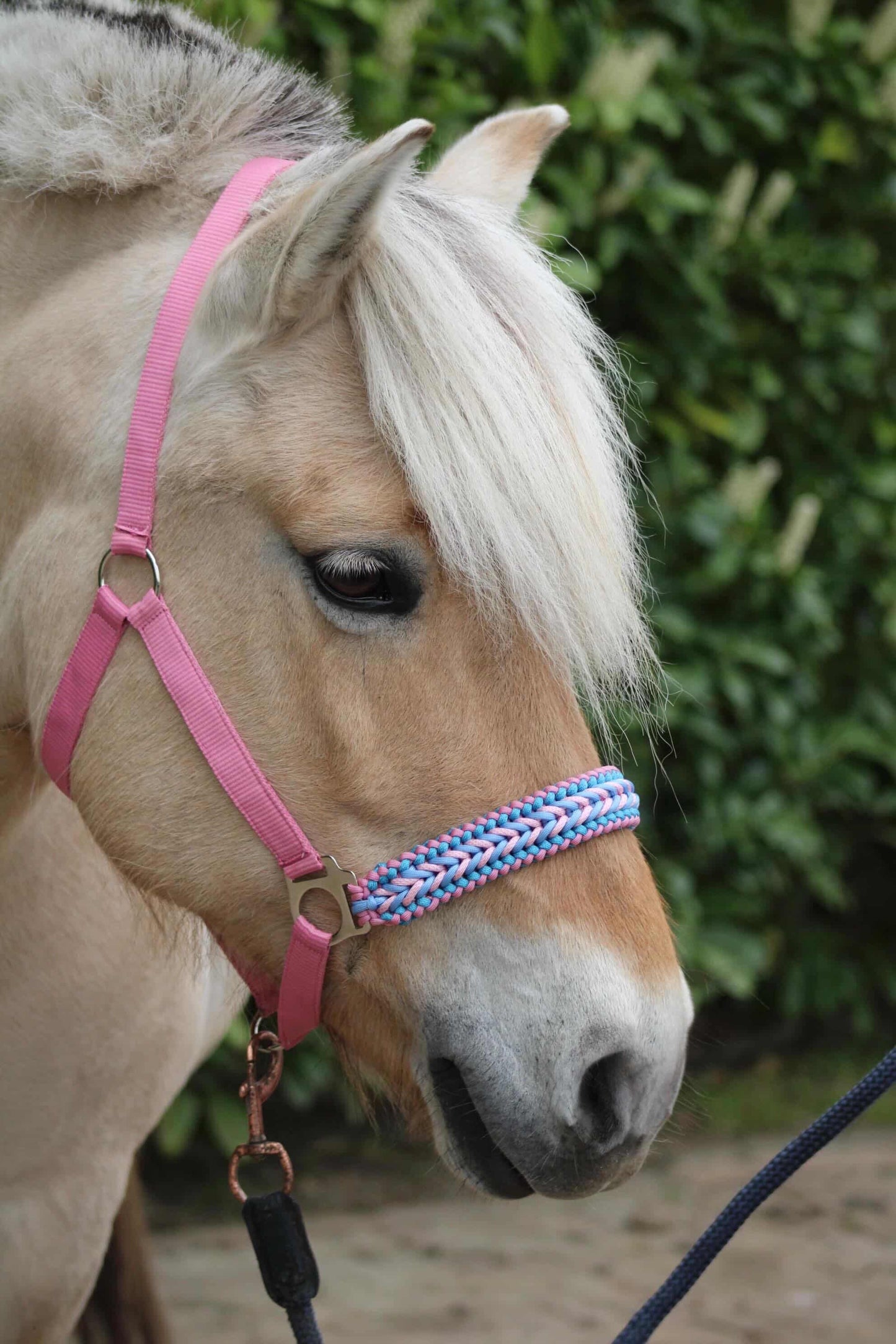 Handmade Horse Halters - Knotted halter 'Cotton Candy' light pink/light blue