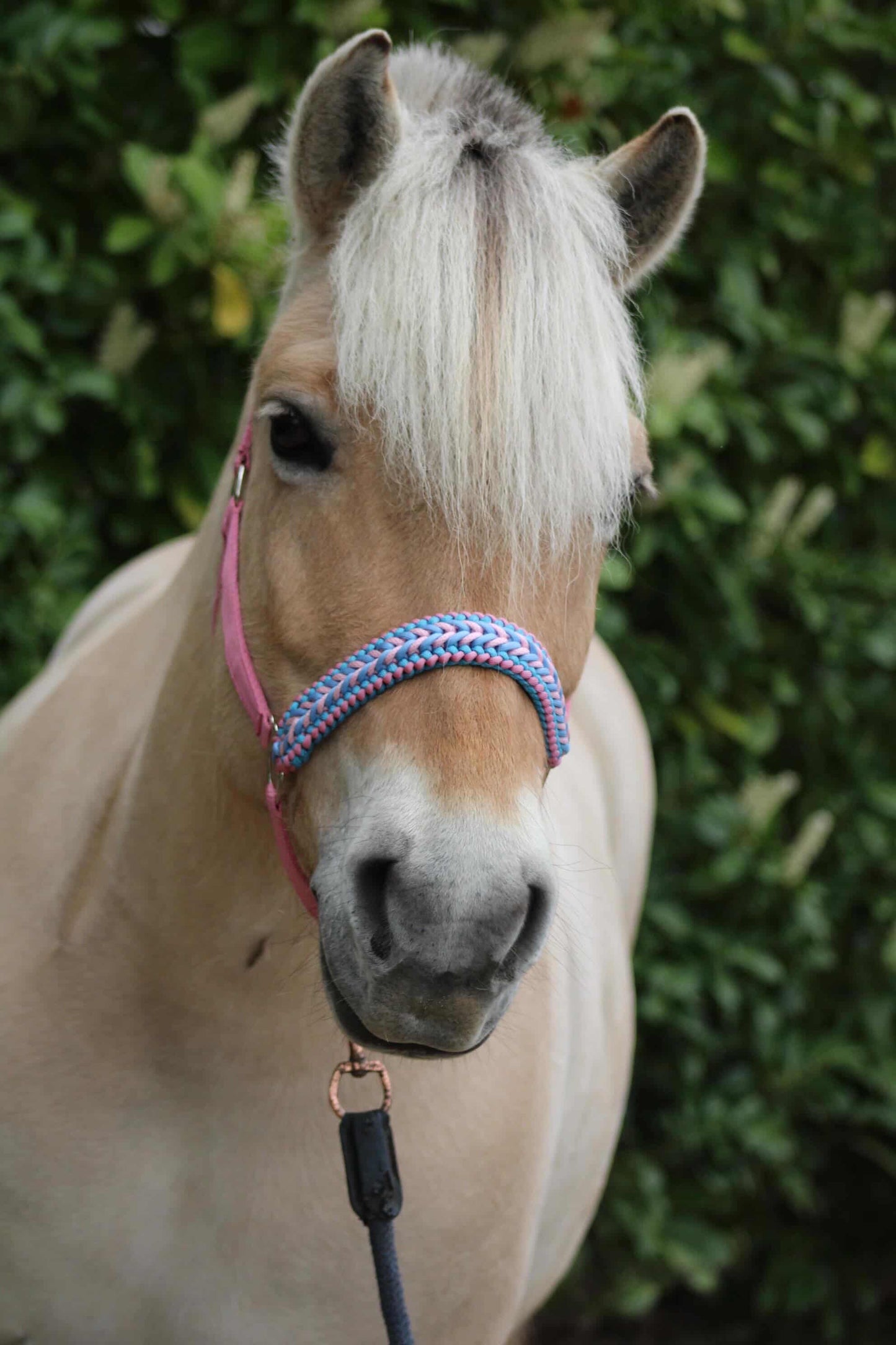 Handmade Horse Halters - Knotted halter 'Cotton Candy' light pink/light blue
