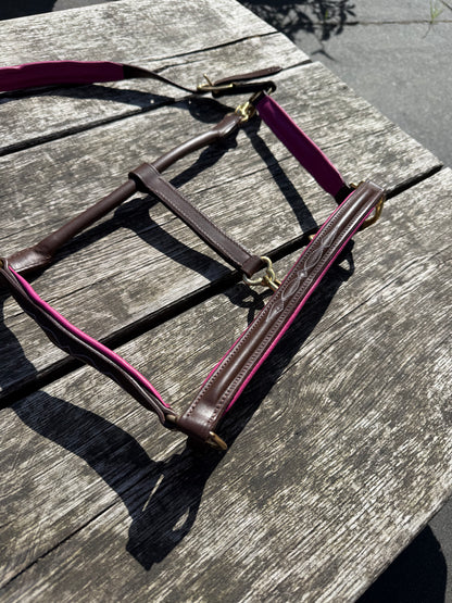 FMH - Havana Lederhalfter mit farbiger Unterlage „Colour Pop“ rosa