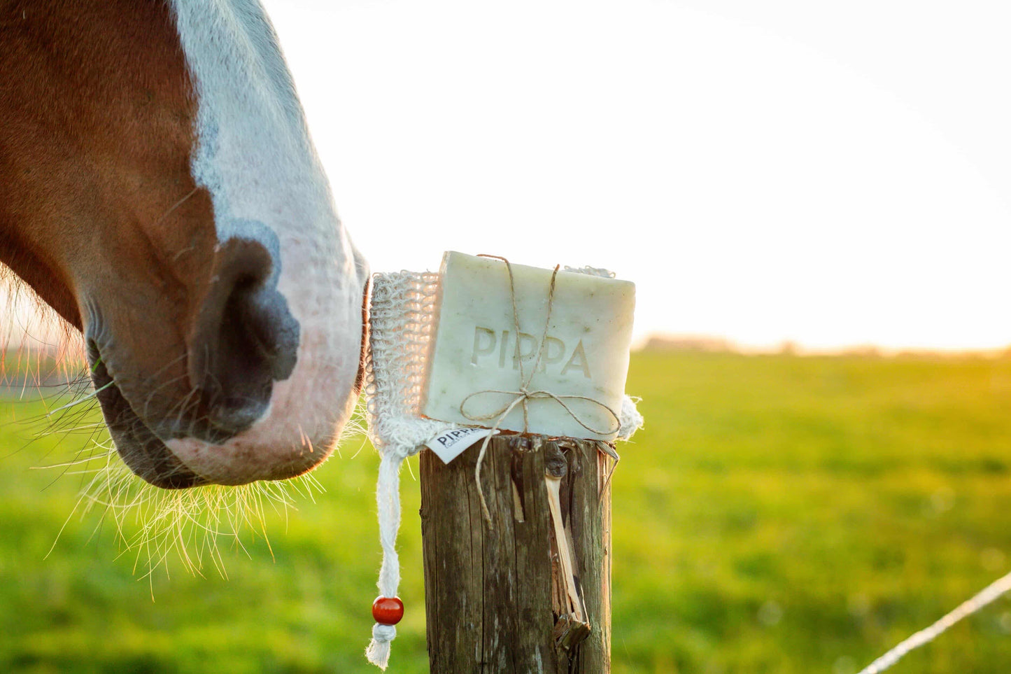 Pippa - Shampoo solido Tea Tree & Eucalyptus