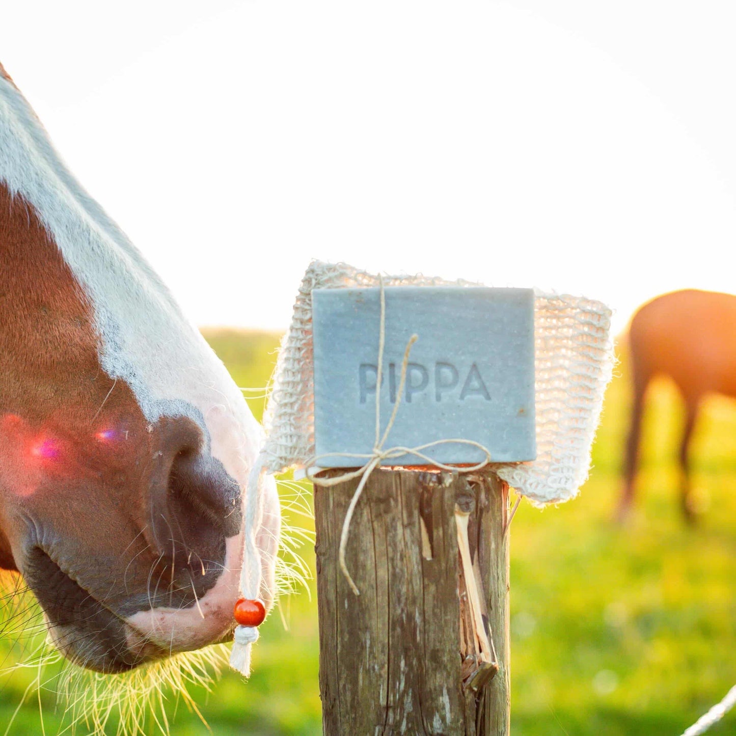 Pippa - Shampoo solido Carbone & Menta piperita