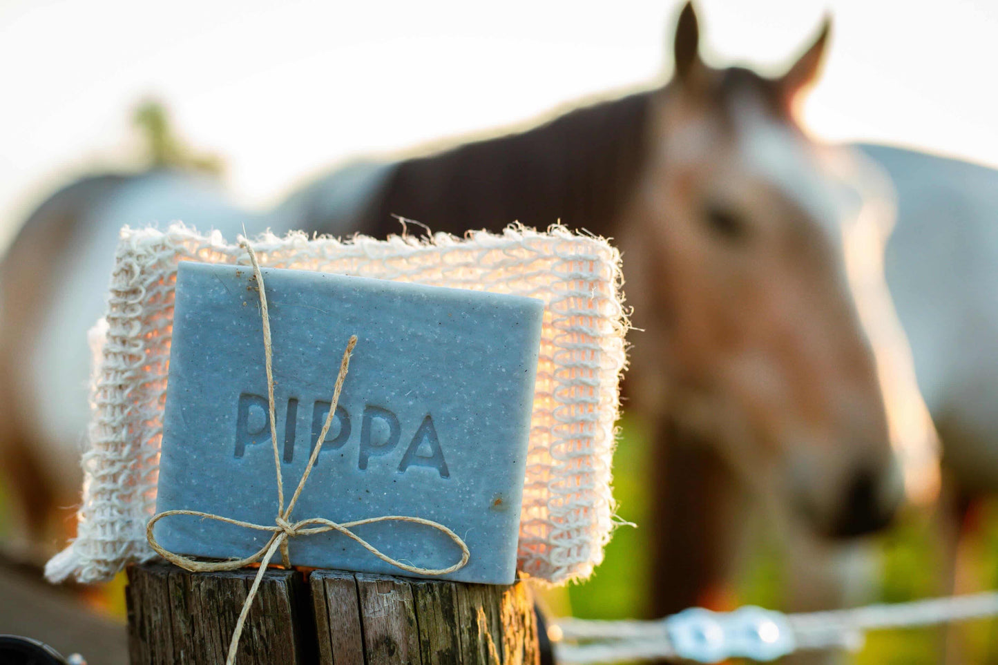 Pippa - Shampoo solido Carbone & Menta piperita