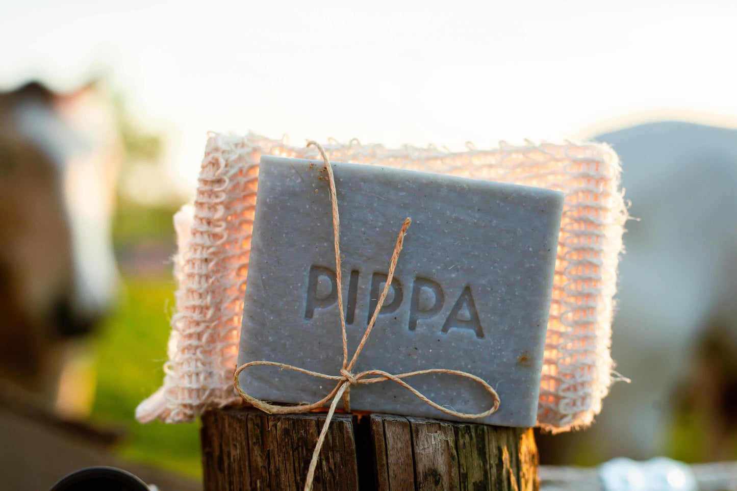 Pippa - Shampoo solido Carbone & Menta piperita