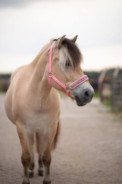 Freni per cavalli fatti a mano - Capestro annodato ‘Cutie’ rosa/beige