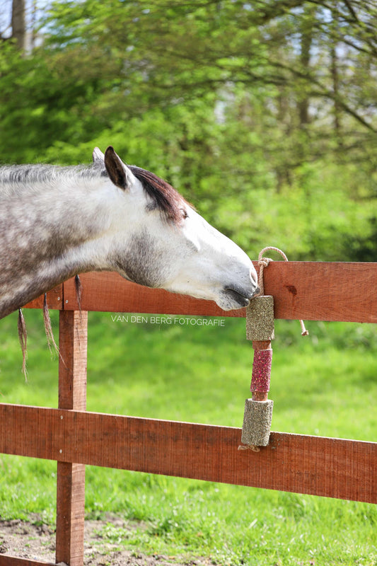 Herbi Horse - Houten speeltouw met kruiden (diverse)