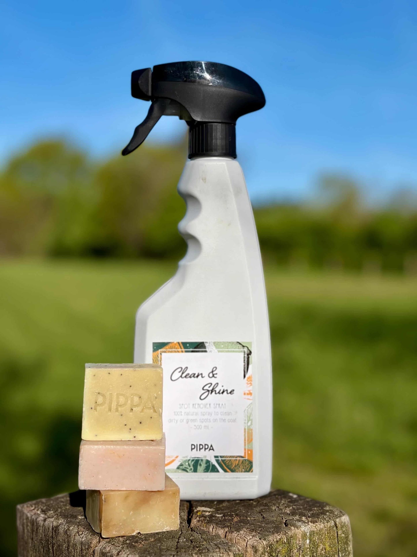PIPPA - Spray Clean & Shine per rimuovere macchie