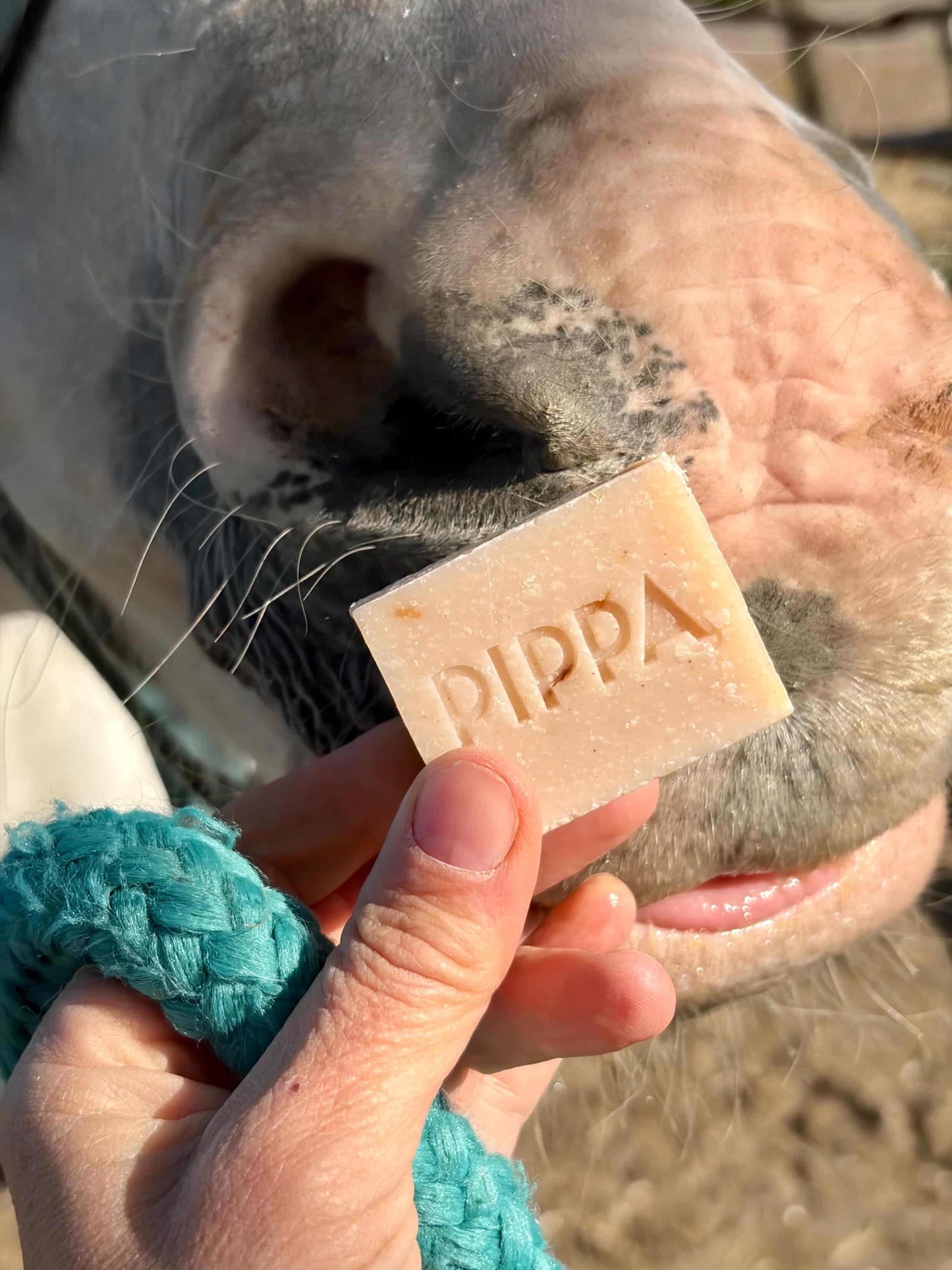 PIPPA - Kit prova shampoo per cavalli Shampoobar collezione 'Originals'