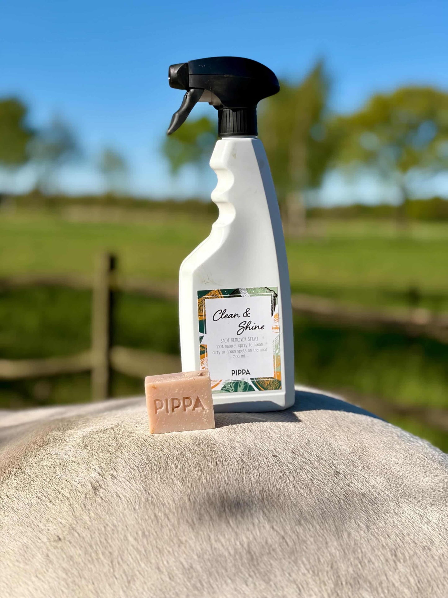 PIPPA - Spray Clean & Shine per rimuovere macchie