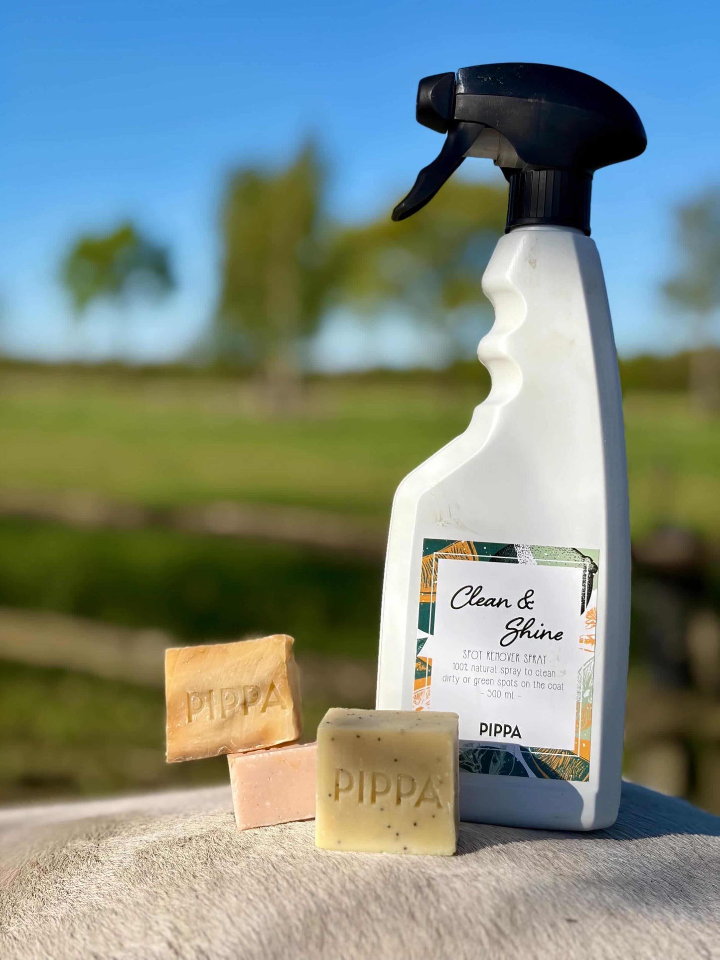 PIPPA - Spray Clean & Shine per rimuovere macchie