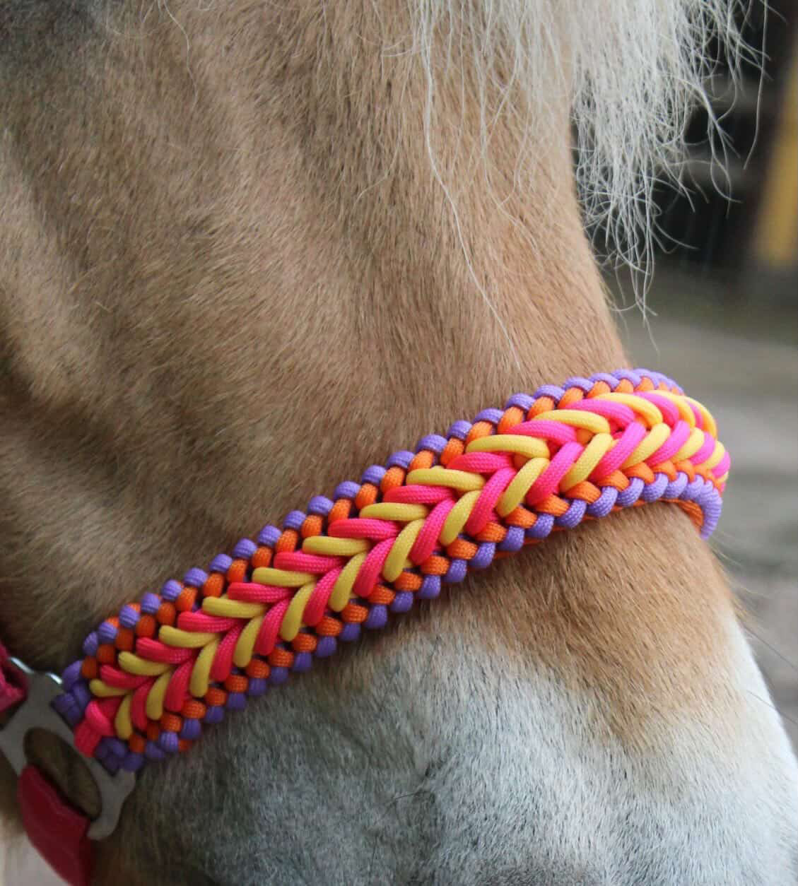 Handmade horse halters - Knotted halter 'Funky Town' fuchsia/yellow/orange/purple