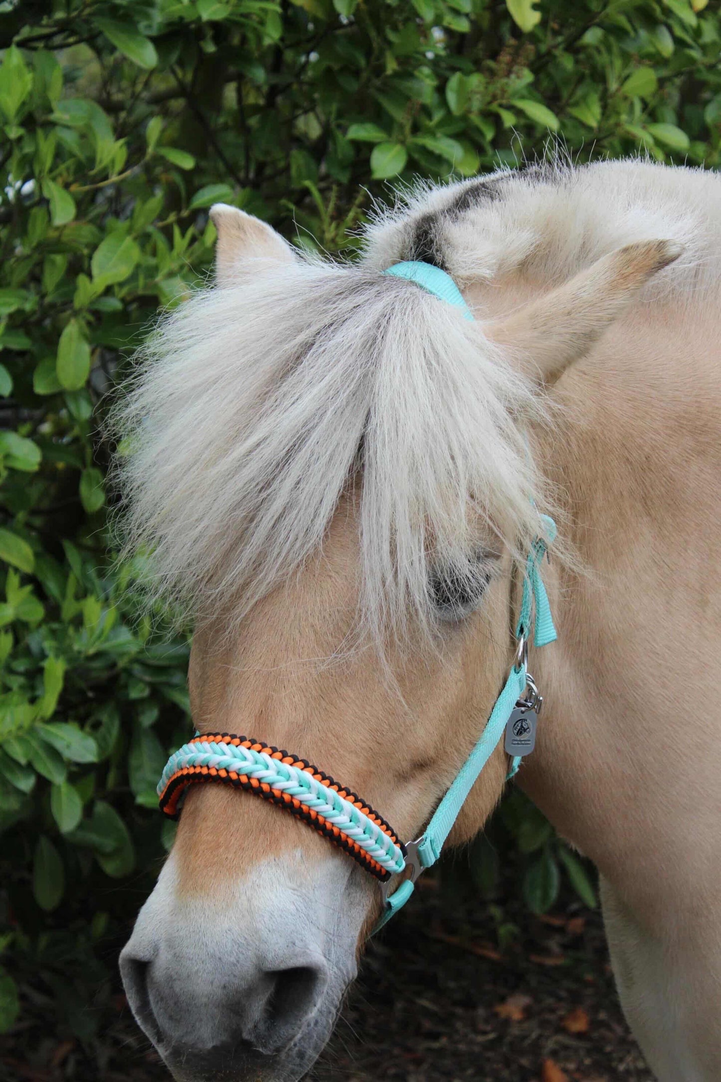 Handmade horse halters - Knotted halter 'Fire & Ice' mint/orange/black