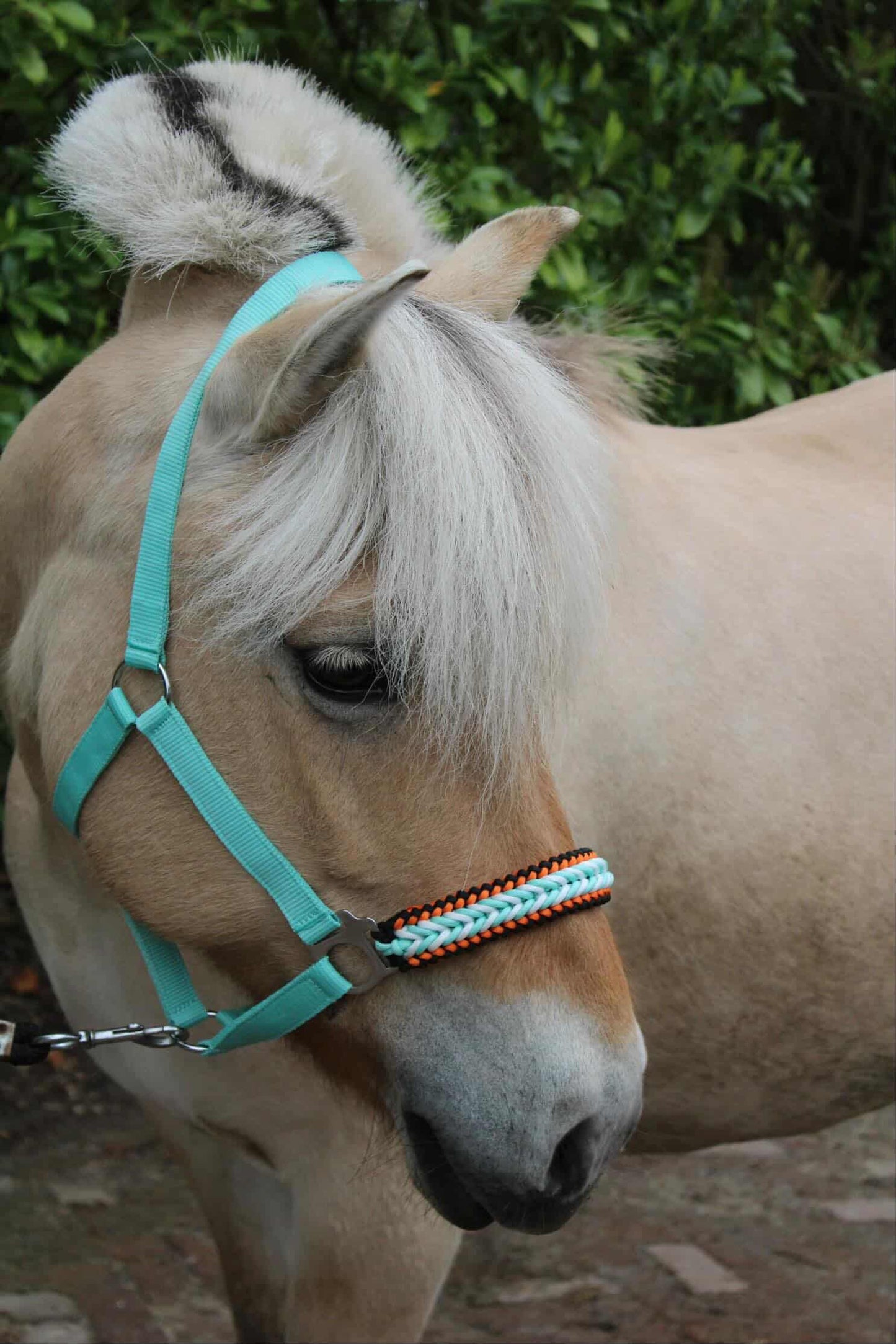 Handmade horse halters - Knotted halter 'Fire & Ice' mint/orange/black